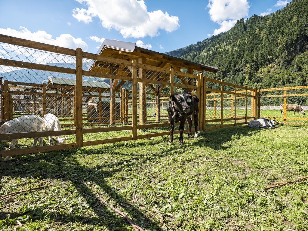 Apartment Sonnenau Zell am Ziller Zewnętrze zdjęcie