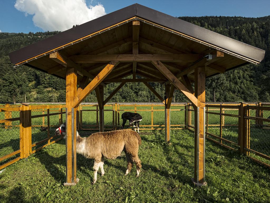 Apartment Sonnenau Zell am Ziller Zewnętrze zdjęcie